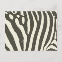 Zebra Stripe Animal Print Muster