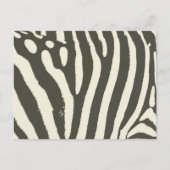Zebra Stripe Animal Print Muster Postkarte (Vorderseite)