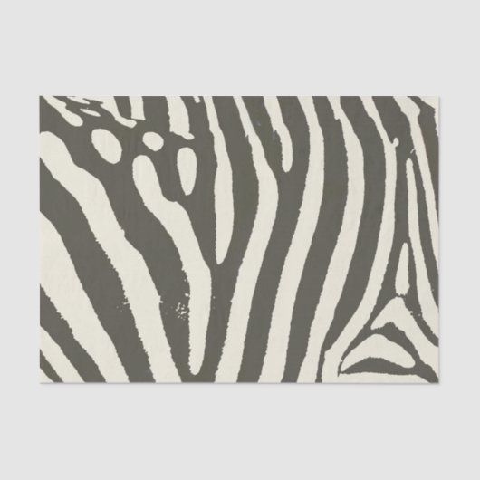 Zebra Stripe Animal Print Muster Seidenpapier (Vorderseite)