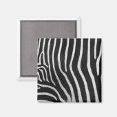 Zebra Stripe Muster Square Magnet (Vorderseite/Rückseite)