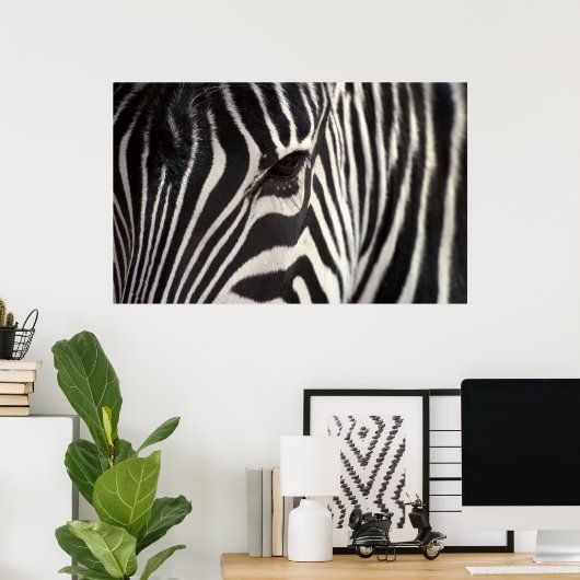 Zebra Stripe Pattern & Auge Poster (Heimbüro)