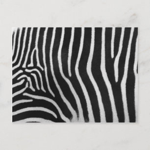 Zebra Stripe Pattern Postcard Postkarte