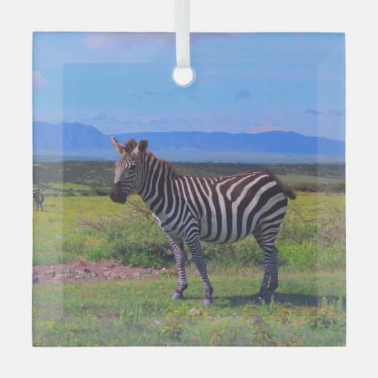 ZEBRA STRIPES ORNAMENT AUS GLAS (Vorderseite)