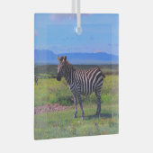 ZEBRA STRIPES ORNAMENT AUS GLAS (Vorderseite Rechts)