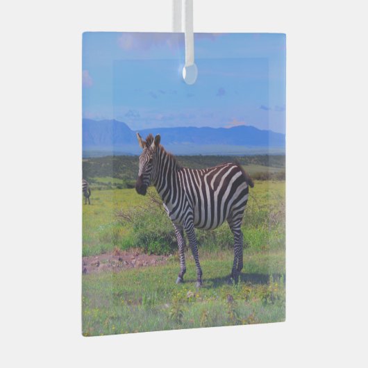 ZEBRA STRIPES ORNAMENT AUS GLAS (Vorderseite Rechts)