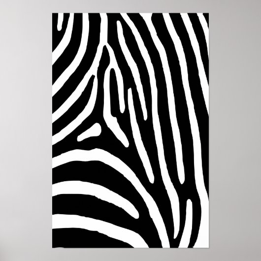 Zebra Stripes Poster (Vorne)