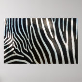 Zebra Stripes Poster (Vorne)