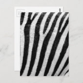 Zebra Stripes Postkarte (Vorne/Hinten)