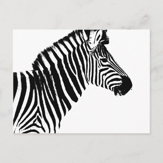 Zebra Stripes Postkarte (Vorderseite)