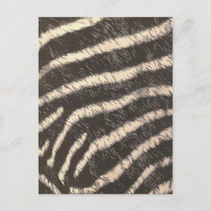Zebra Stripes Postkarte