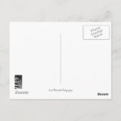 Zebra Stripes Postkarte (Rückseite)