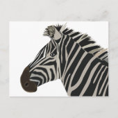 Zebra Stripes Wildtier Postkarte (Vorderseite)