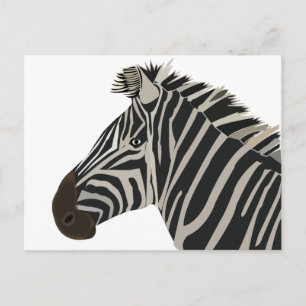 Zebra Stripes Wildtier Postkarte
