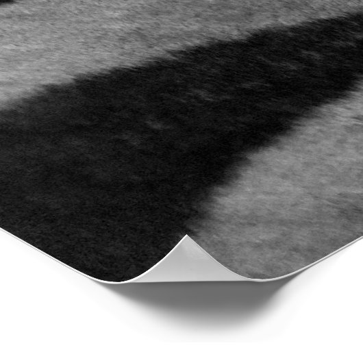 Zebra Strips Poster (Ecke)