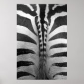 Zebra Strips Poster (Vorne)