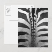 Zebra Strips Postkarte (Vorne/Hinten)