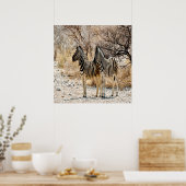 Zebra Stroll Poster (Küche)