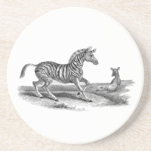 Zebra-Stute-Fohlen-Vintage-Tierkunst-Unterlage Sandstein Untersetzer