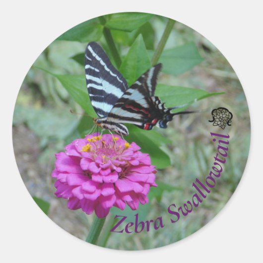 Zebra Swallowtail Runder Aufkleber (Vorderseite)
