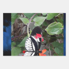 Zebra tail butterfly geschenkpapier set