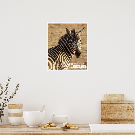 Zebra, Tansania Poster (Küche)