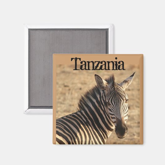 Zebra, Tansania Savannah Magnet (Vorderseite/Rückseite)