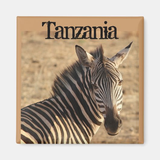 Zebra, Tansania Savannah Magnet (Vorne)