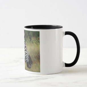 Zebra-Tasse Tasse