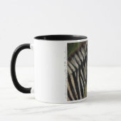 Zebra-Tasse Tasse (Links)