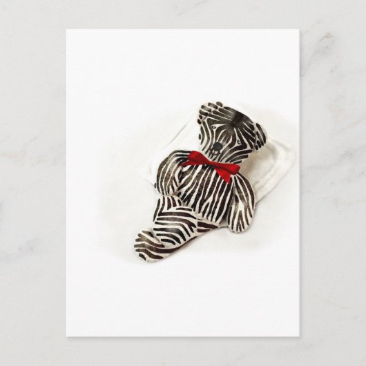 Zebra Teddy Postkarte (Vorderseite)