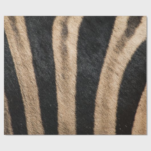 ZEBRA TIERDRUCKSTRIPE GESCHENKPAPIER (Flach)