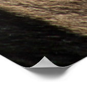 ZEBRA TIERDRUCKSTRIPE POSTER (Ecke)