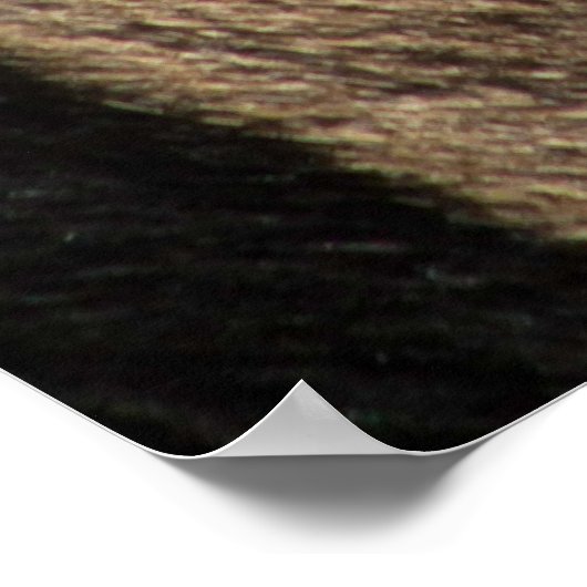 ZEBRA TIERDRUCKSTRIPE POSTER (Ecke)