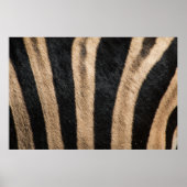 ZEBRA TIERDRUCKSTRIPE POSTER (Vorne)