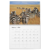 Zebra-Tierkalender Kalender (Feb 2026)