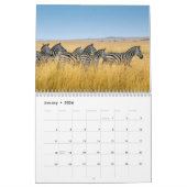Zebra-Tierkalender Kalender (Jan 2026)
