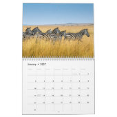 Zebra-Tierkalender Kalender (Jan 2027)