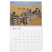 Zebra-Tierkalender Kalender (Feb 2027)