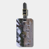 Zebra Twins Double Take Foto Gepäckanhänger (Vorderseite vertikal)