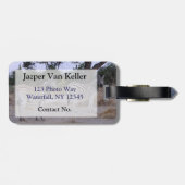 Zebra Twins Double Take Foto Gepäckanhänger (Rückseite horizontal)