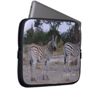 Zebra Twins Double Take Foto