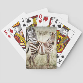 Zebra-u. Baby-Spielkarten Spielkarten