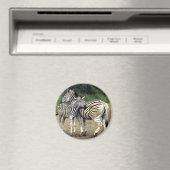 Zebra und Baby Magnet (In Situ (Geschirrspüler))