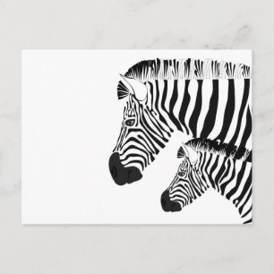 Zebra und Baby Postkarte