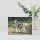Zebra und Baby Postkarte (Stehend Vorderseite)