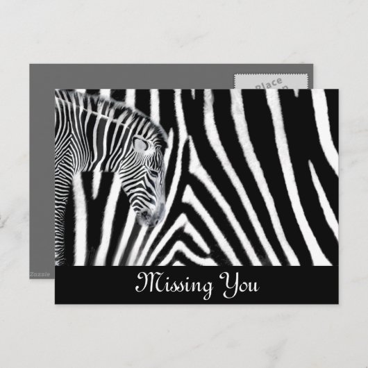 Zebra und es ist Streifen Postkarte (Vorne/Hinten)