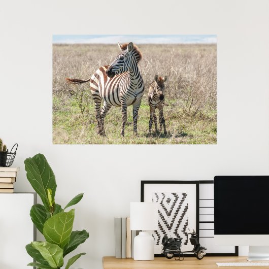 Zebra und Foal Poster (Heimbüro)