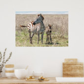 Zebra und Foal Poster (Küche)