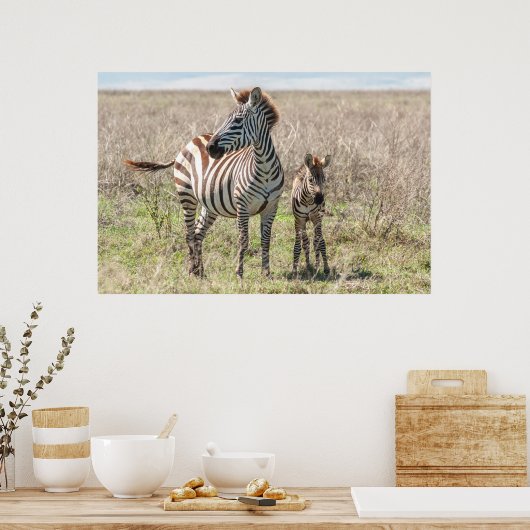 Zebra und Foal Poster (Küche)