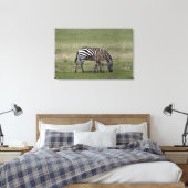 Zebra und Fossilien, Tansania Leinwanddruck (Insitu (Schlafzimmer))